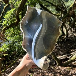 Wood as an element 