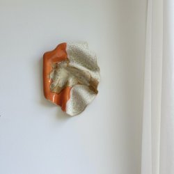 Abstract Silk